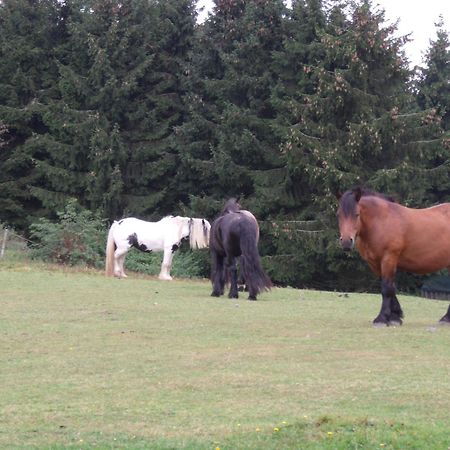 B&B All Seasons Winterberg Exterior foto