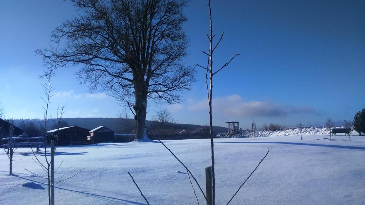 B&B All Seasons Winterberg Exterior foto